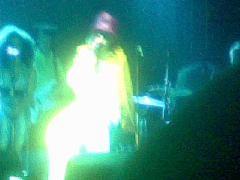 11132008(012).jpg - Róisín Murphy