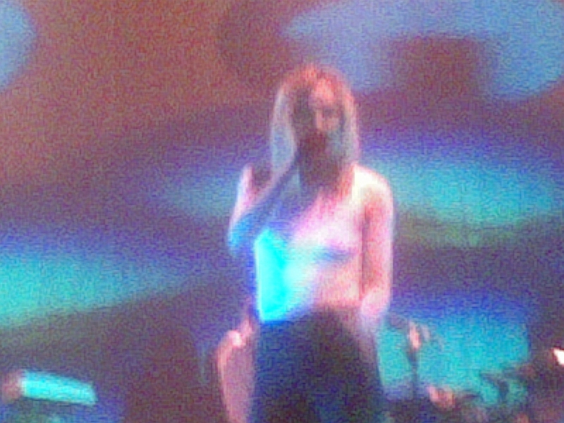 11132008(033).jpg - Róisín Murphy